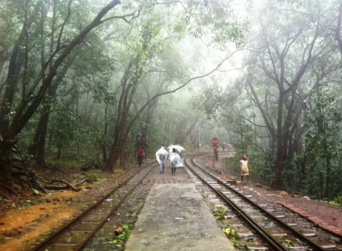 3-Day Matheran Misty Toy Train & Eco-Cabins